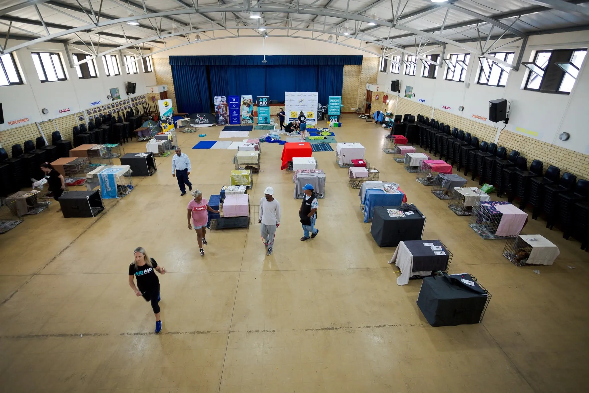 A photograph from an Aid4Aid mass sterilisation day.