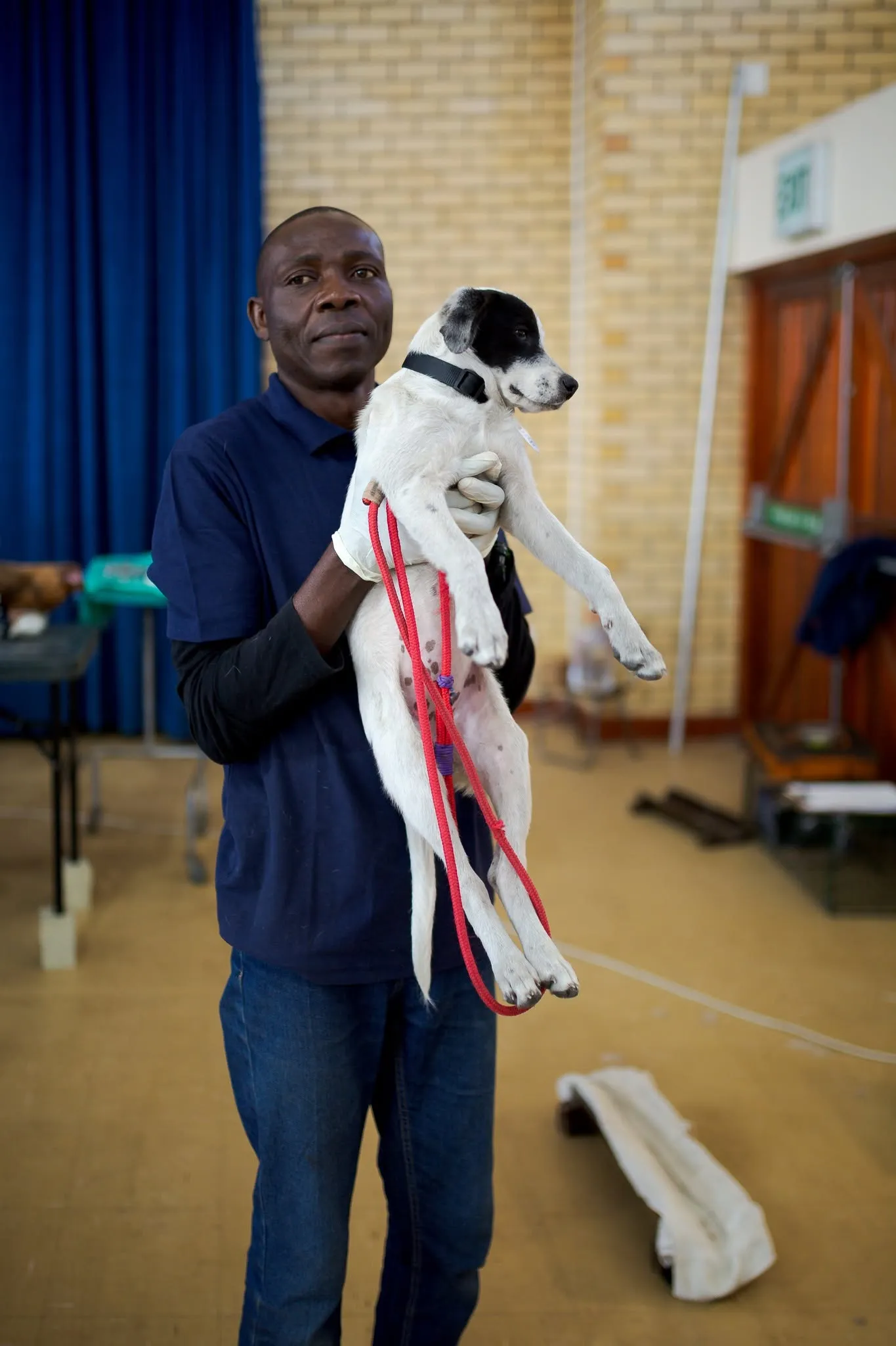 A photograph from an Aid4Aid mass sterilisation day.