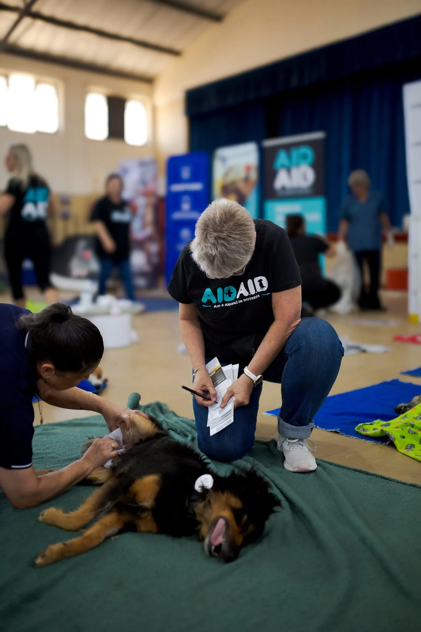 A photograph from an Aid4Aid mass sterilisation day.