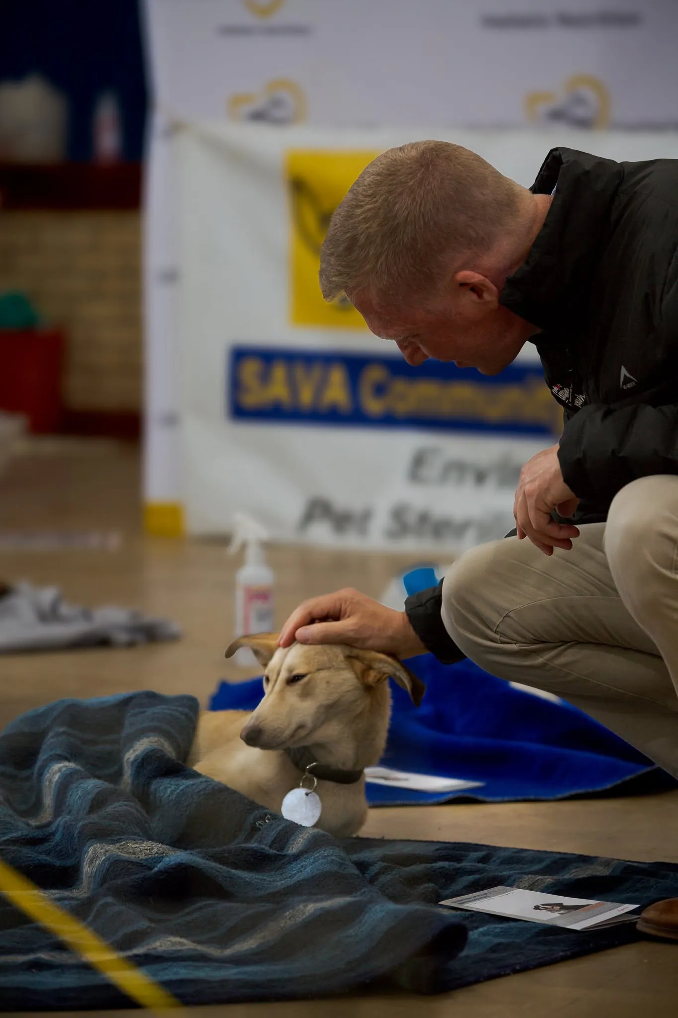 A photograph from an Aid4Aid mass sterilisation day.