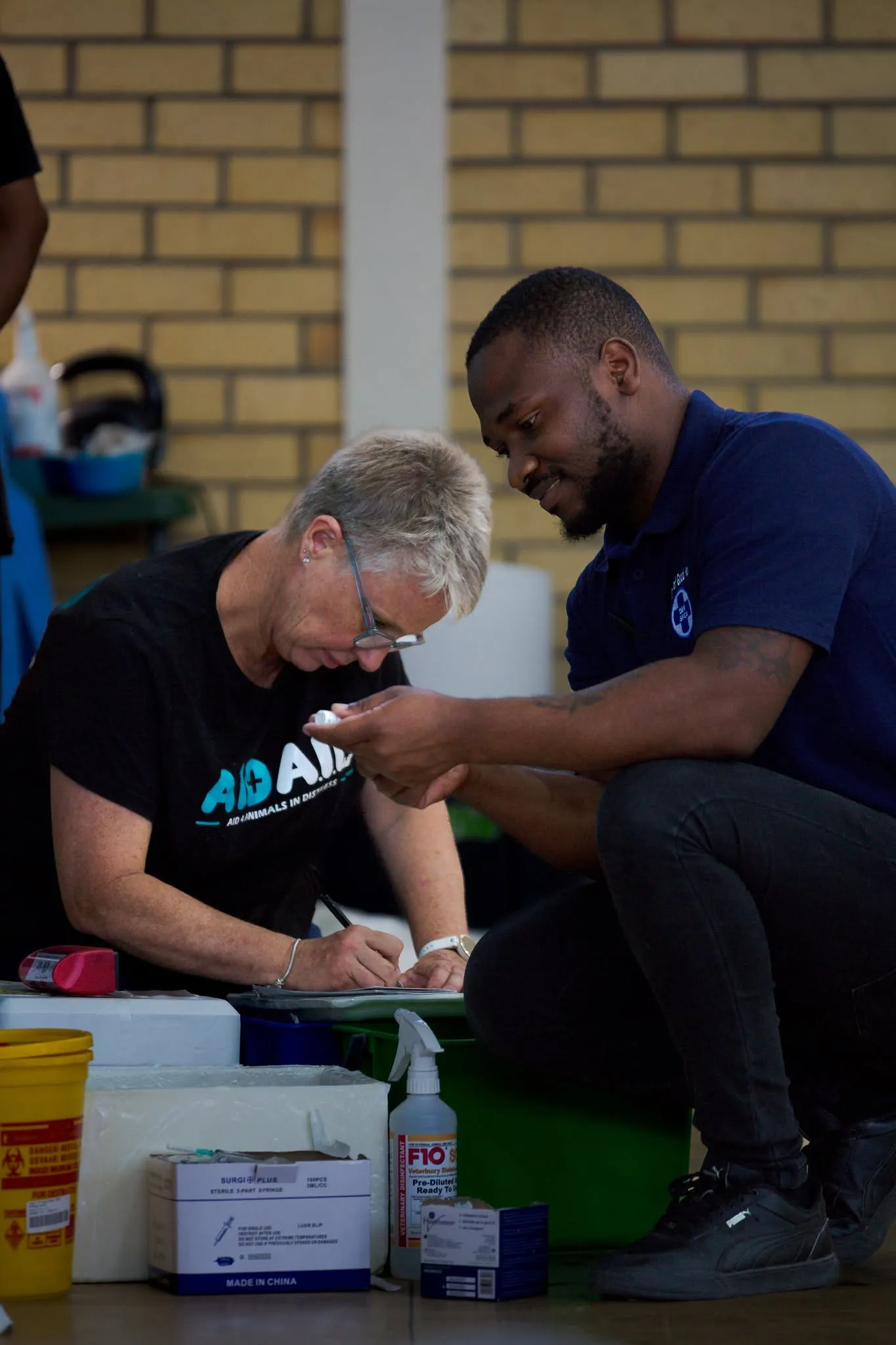 A photograph from an Aid4Aid mass sterilisation day.