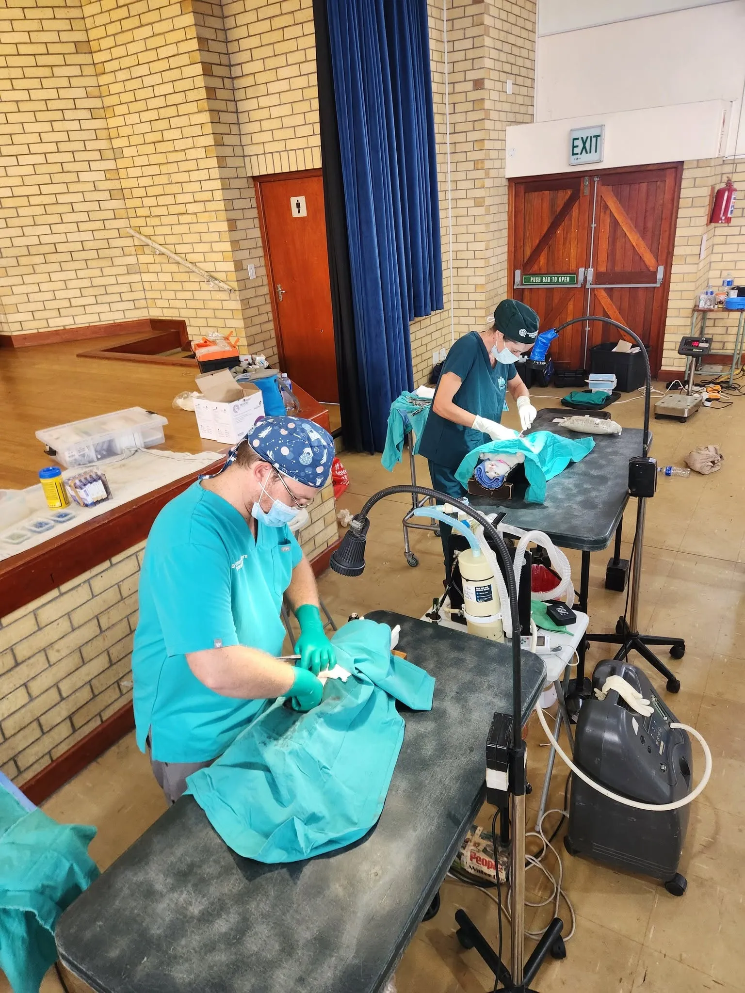 A photograph from an Aid4Aid mass sterilisation day.