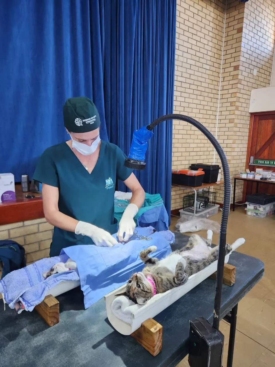 A photograph from an Aid4Aid mass sterilisation day.